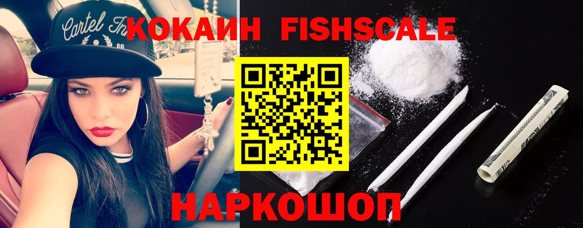 Кокаин Эквадор Гай