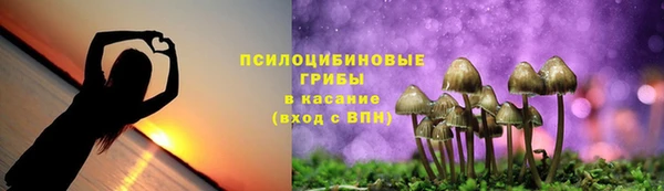 прущие крисы Белокуриха