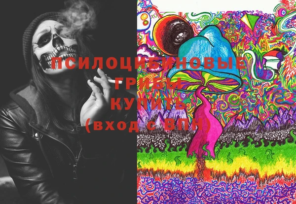 прущие крисы Белокуриха