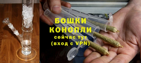 шишки Белоозёрский