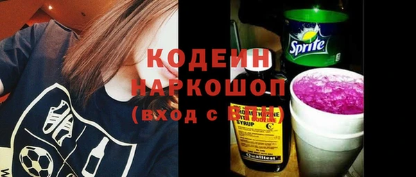 шишки Белоозёрский