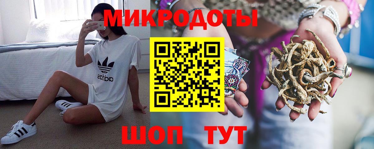 Гай  Галлюциногенные грибы Psilocybine cubensis  Вход с VPN 